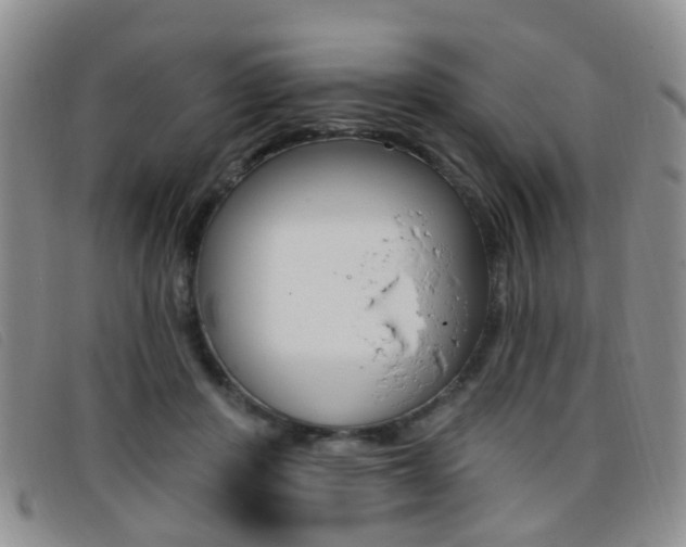 X0000096710408200802051042