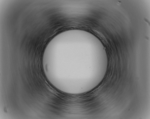 X0000096710409200802051042