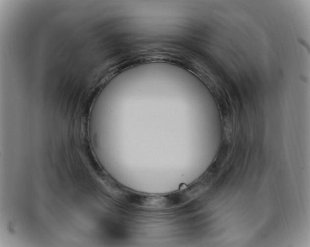 X0000096710410200802051042