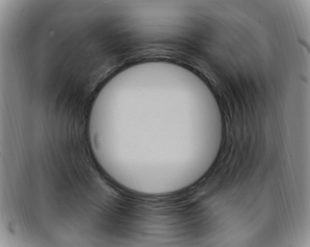 X0000096710411200802051042