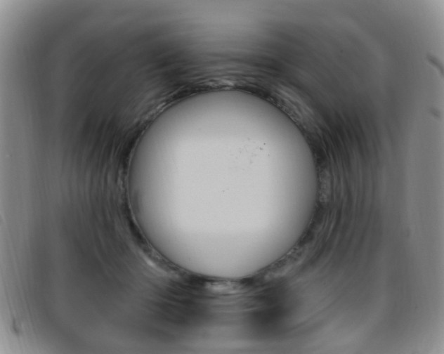 X0000096710414200802051042