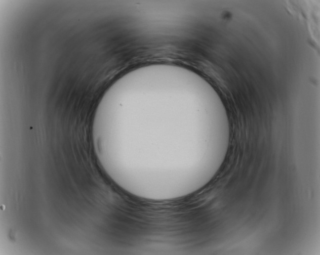 X0000096710415200802051042