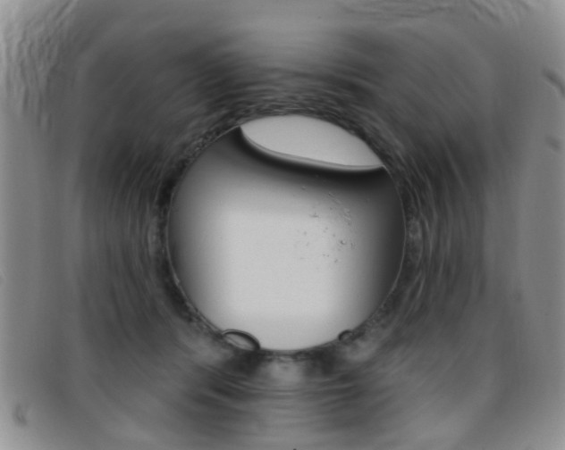 X0000096710416200802051042