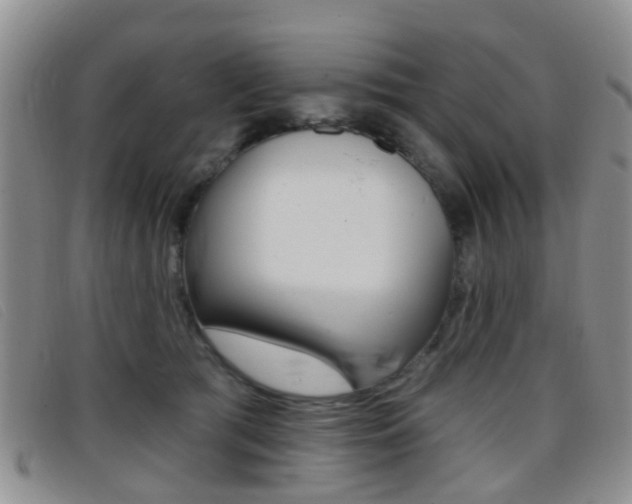 X0000096710417200802051042