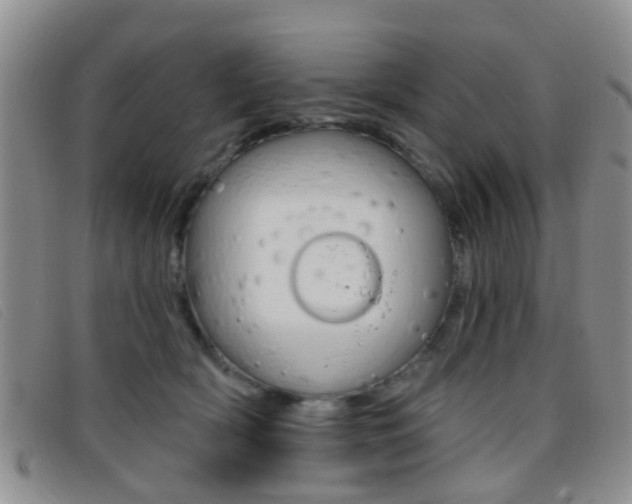 X0000096710418200802051042