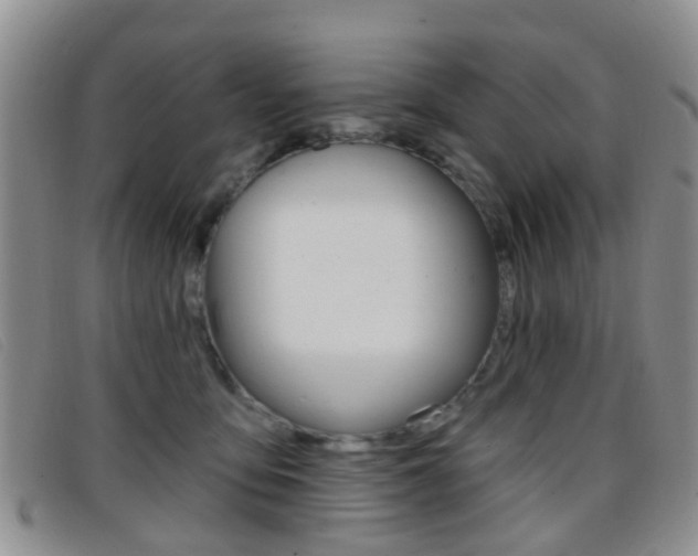 X0000096710419200802051042