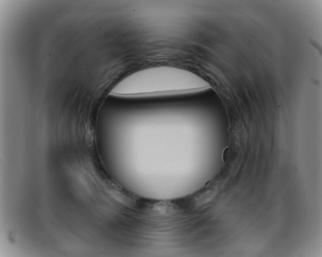 X0000096710420200802051042