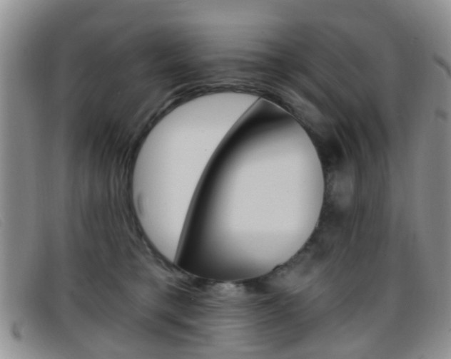 X0000096710421200802051042