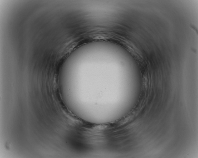 X0000096710422200802051042