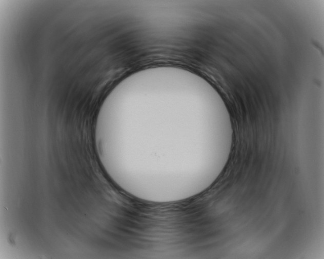 X0000096710423200802051042