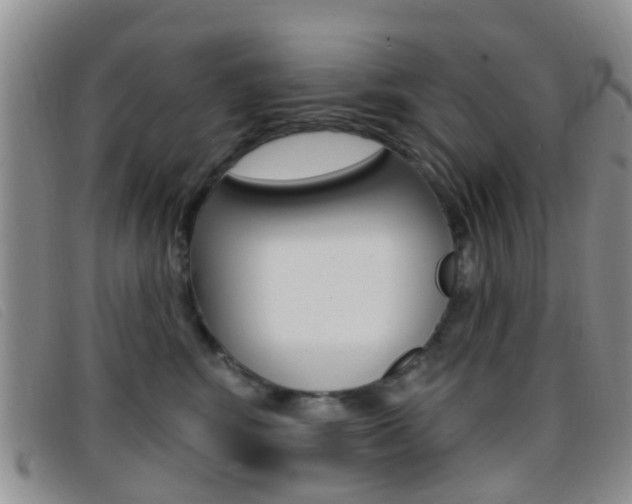 X0000096710424200802051042