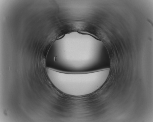 X0000096710425200802051042