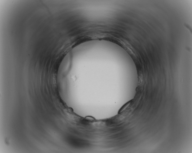 X0000096710426200802051042