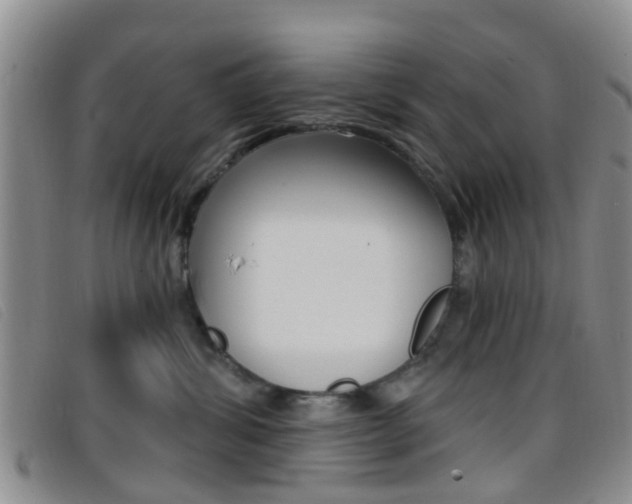 X0000096710428200802051042