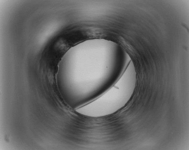 X0000096710429200802051042