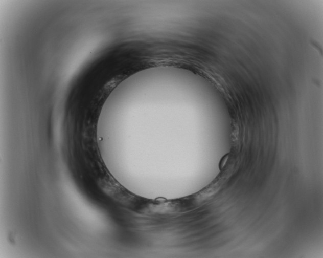 X0000096710430200802051041