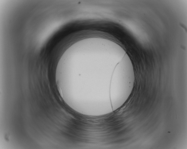 X0000096710431200802051041