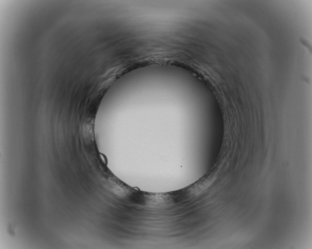 X0000096710432200802051041