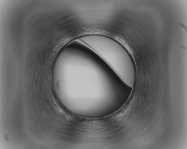 X0000096710433200802051041