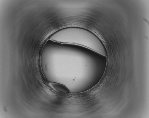 X0000096710434200802051041