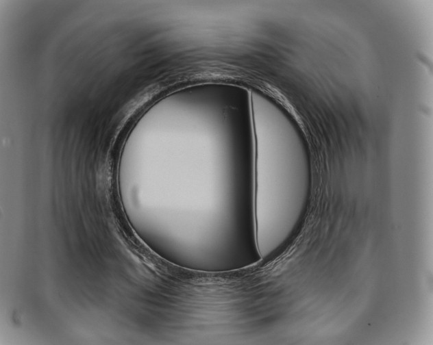 X0000096710435200802051041