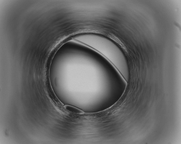 X0000096710436200802051041