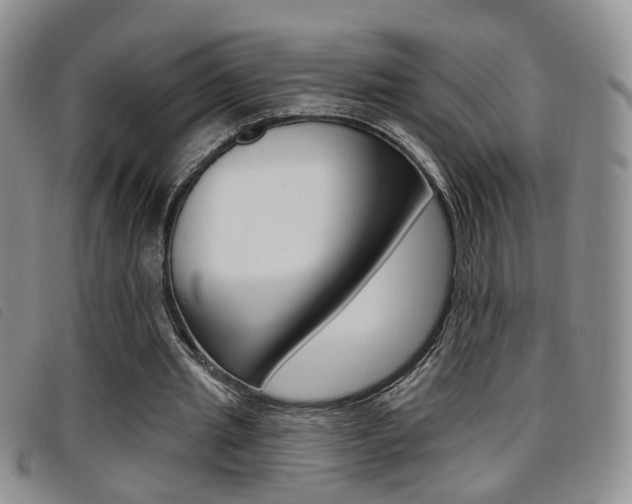 X0000096710437200802051041