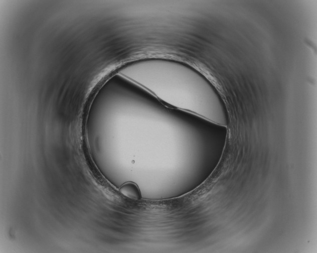 X0000096710438200802051041