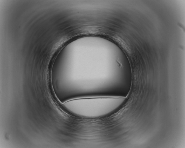 X0000096710439200802051041