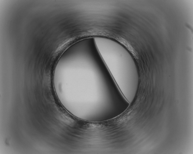 X0000096710442200802051041