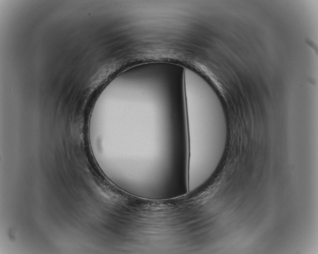 X0000096710443200802051041