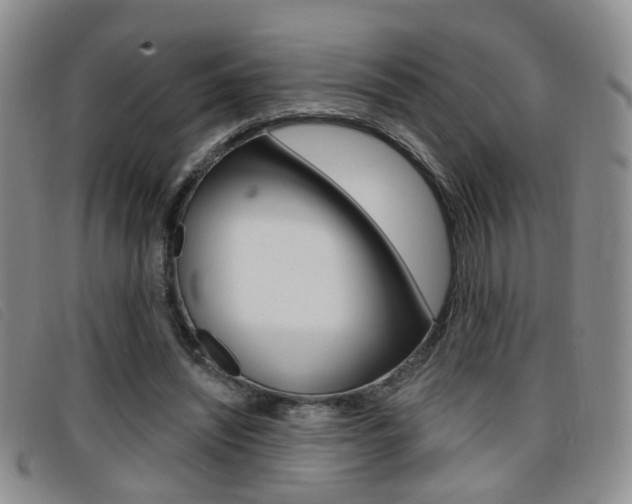 X0000096710444200802051041