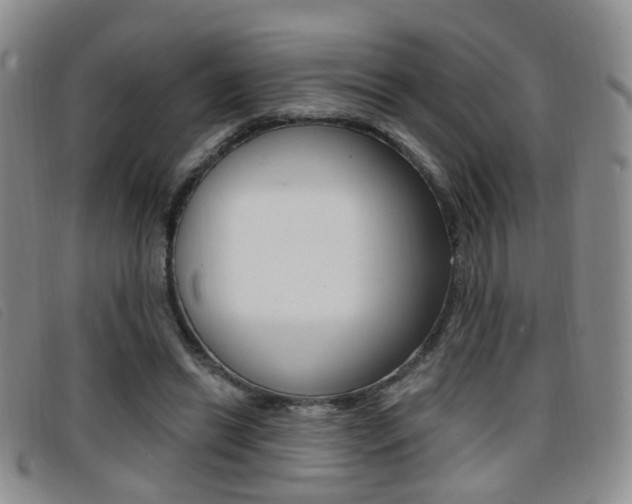 X0000096710446200802051041