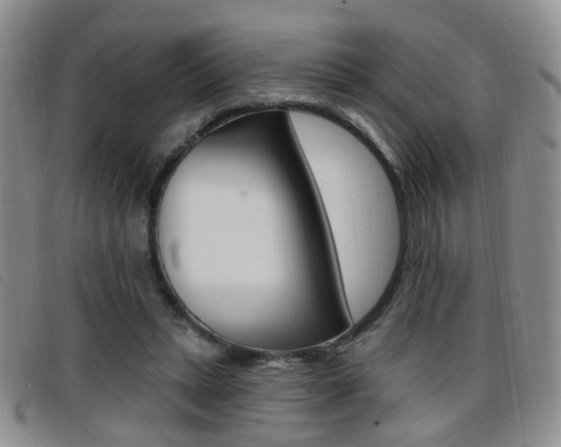 X0000096710447200802051041