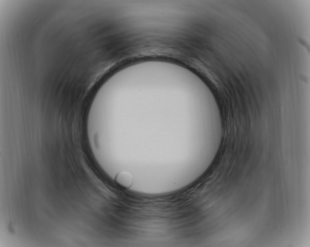 X0000096710448200802051041