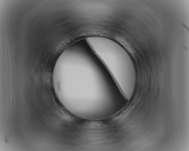 X0000096710449200802051041