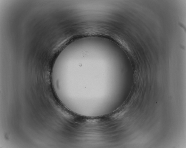 X0000096710450200802051041