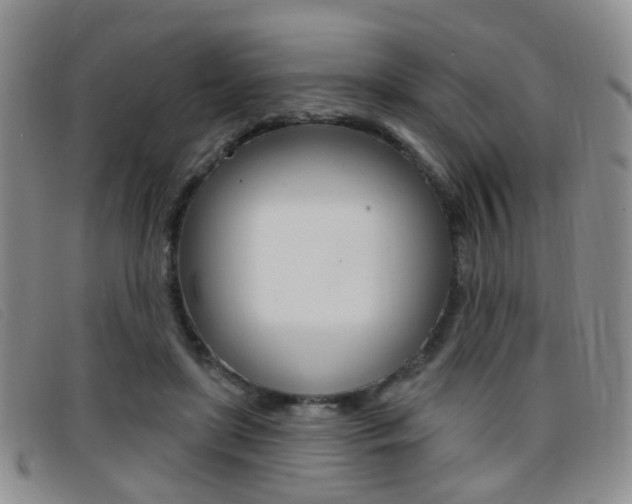 X0000096710451200802051041