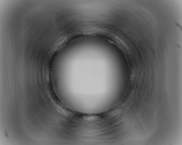 X0000096710452200802051041