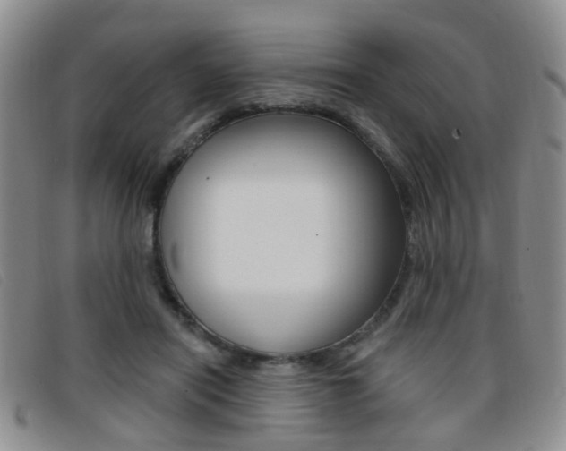 X0000096710454200802051041