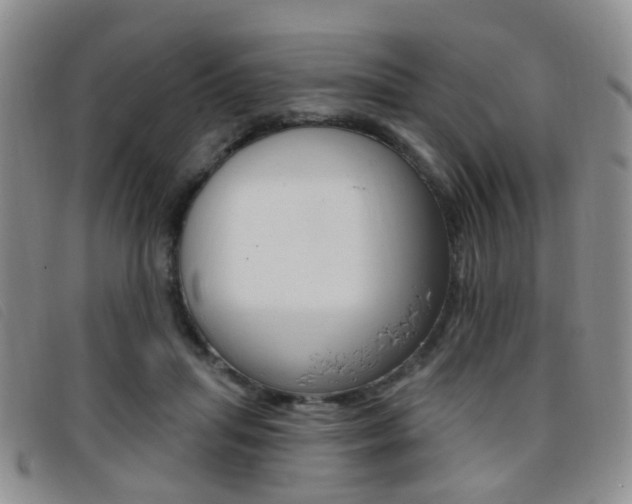 X0000096710455200802051041