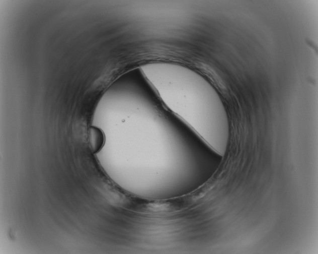 X0000096710457200802051041
