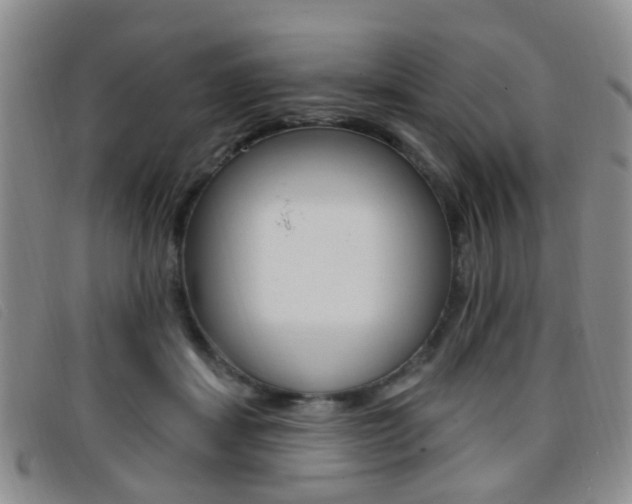 X0000096710459200802051041