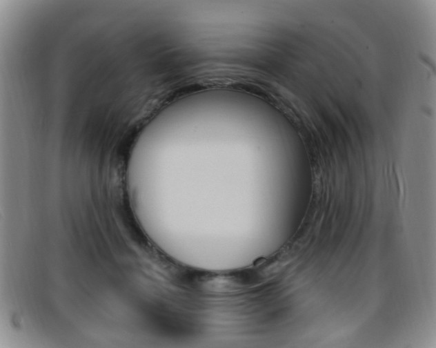 X0000096710460200802051041