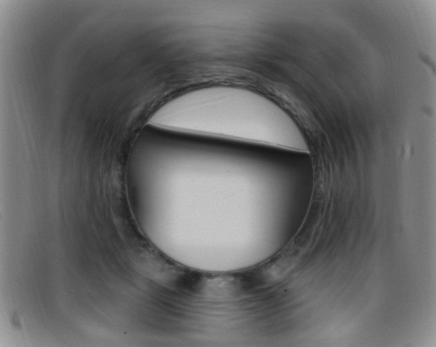 X0000096710461200802051041