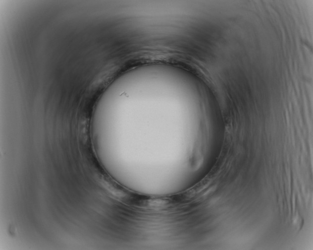 X0000096710462200802051041