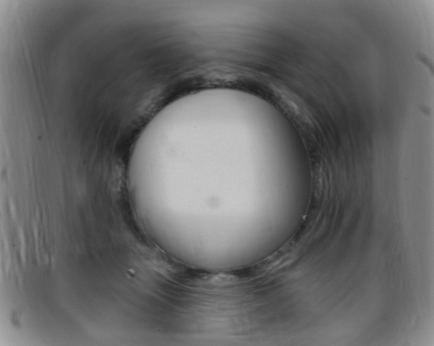 X0000096710463200802051041