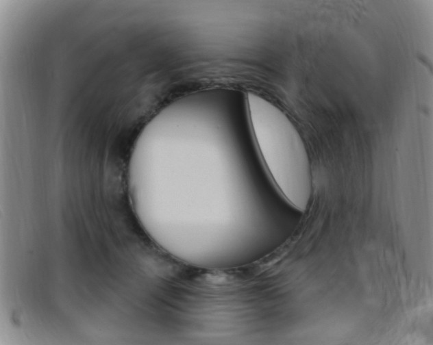 X0000096710464200802051041