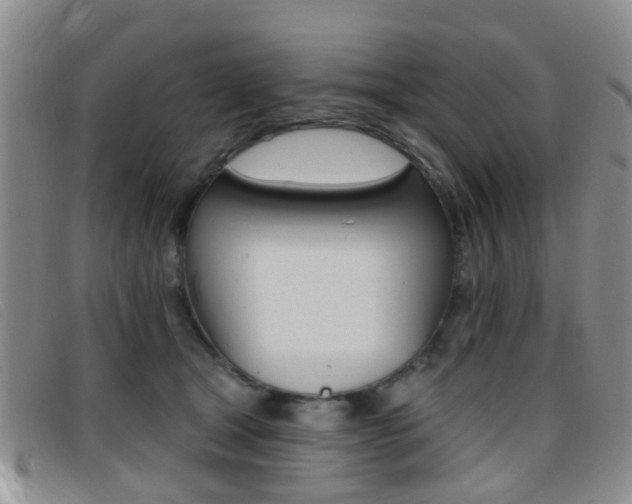 X0000096710465200802051041