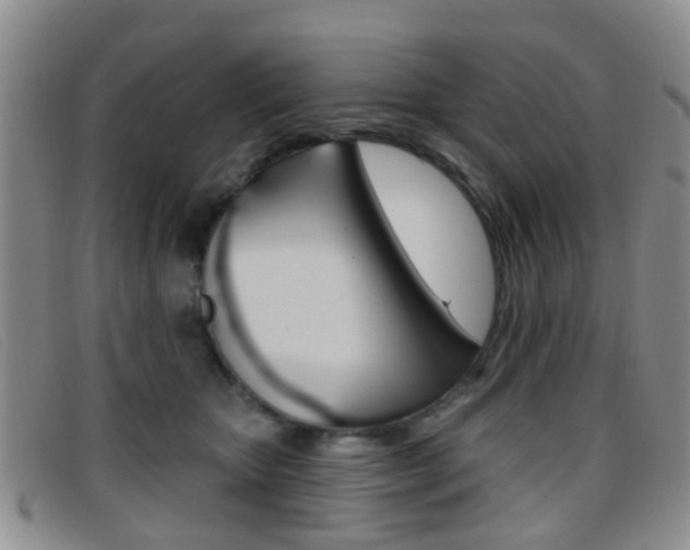 X0000096710467200802051041